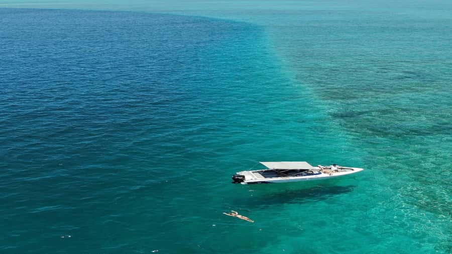 5 Islands All-Inclusive Speedboat w/Snorkeling Sea Turtle - Ile aux Cerfs first visit, then Grand River South East and Mauritian monkeys