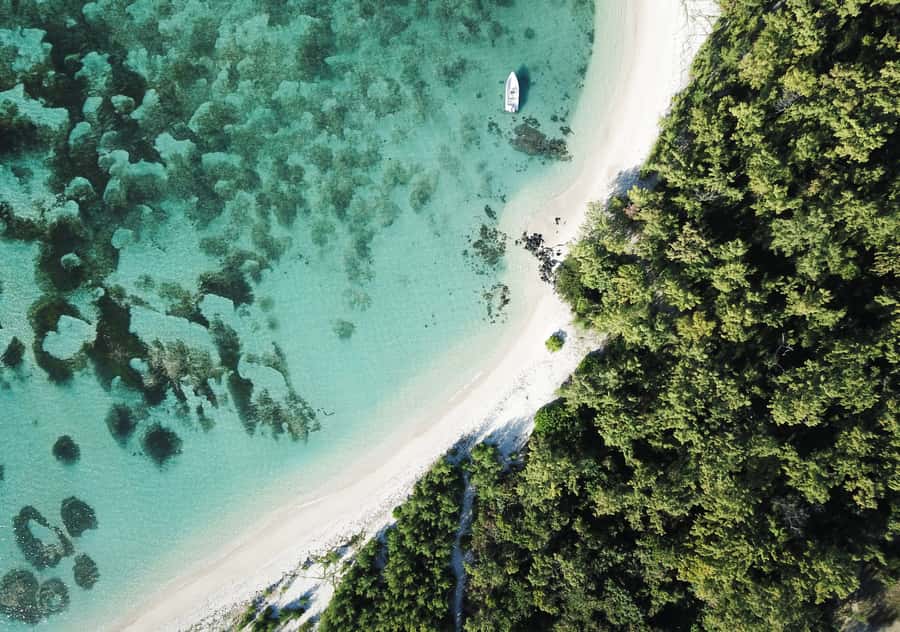5 Islands Boat Trip, Snorkeling and Lunch on Ile aux Cerfs - Grand River South East Waterfall Stop: Mist, Scale, and Quick Photo Wins