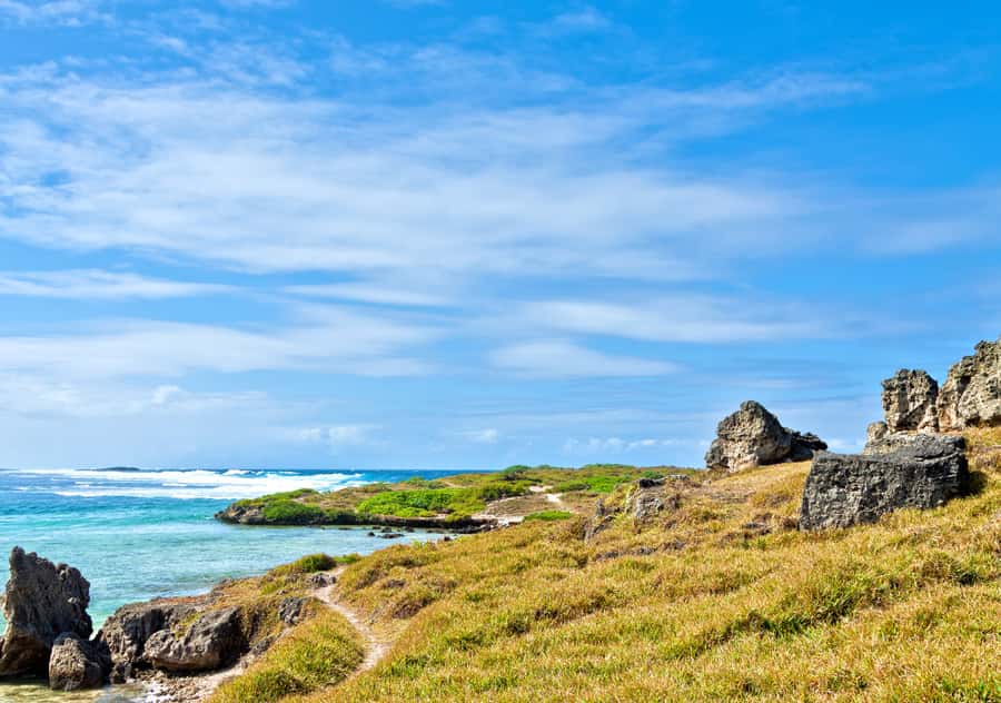 5 Islands Boat Trip, Snorkeling and Lunch on Ile aux Cerfs - Ile aux Cerfs: The Beach and Lagoon Time That Makes the Trip Worth It