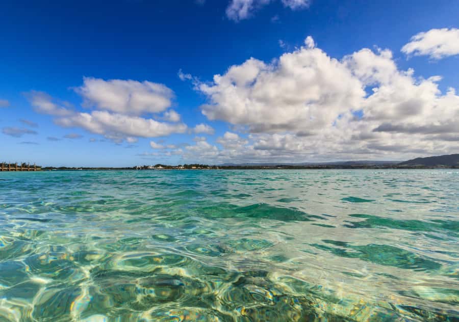 5 Islands Boat Trip, Snorkeling and Lunch on Ile aux Cerfs - Blue Bay Marine Park Snorkeling: Clear Water, Coral, and a Gear Checklist