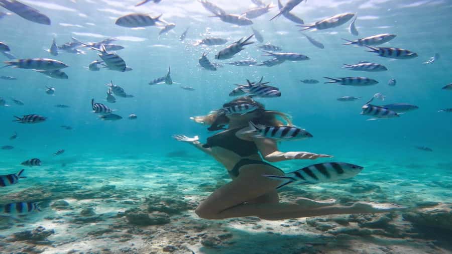5 Islands Private Speedboat w/ Snorkeling + Lunch & Drinks - Price and value: what $498 per group really buys you