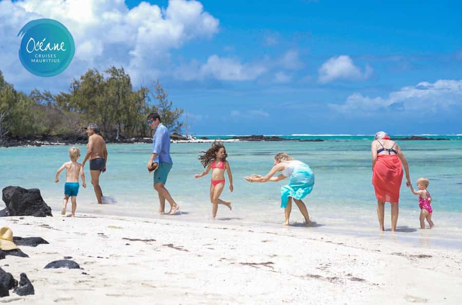 5 Islands Tour: New OCÉANE Private Pontoon Boat cruise - Eau Bleu snorkeling: what you’ll notice underwater