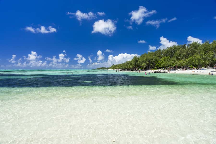 5 Islands Trip & Ile aux Cerfs inc Lunch, Drinks & Transport - Ile aux Cerfs beach time, what you can do with 1.5 hours