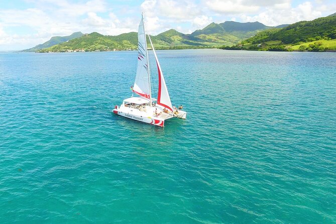 All inclusive CATAMARAN with BBQ : Ile aux cerf & GRSE waterfall - Snorkelling stop with included gear: how to make it count