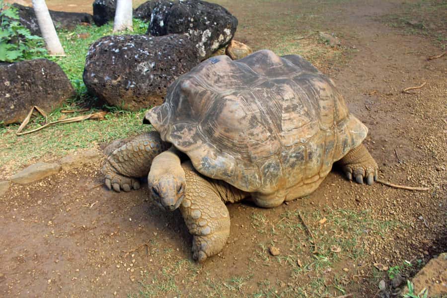 Animal & Nature Parks, Private Tour - For You Only, Small Group Feel, and a Guide Who Keeps It Moving