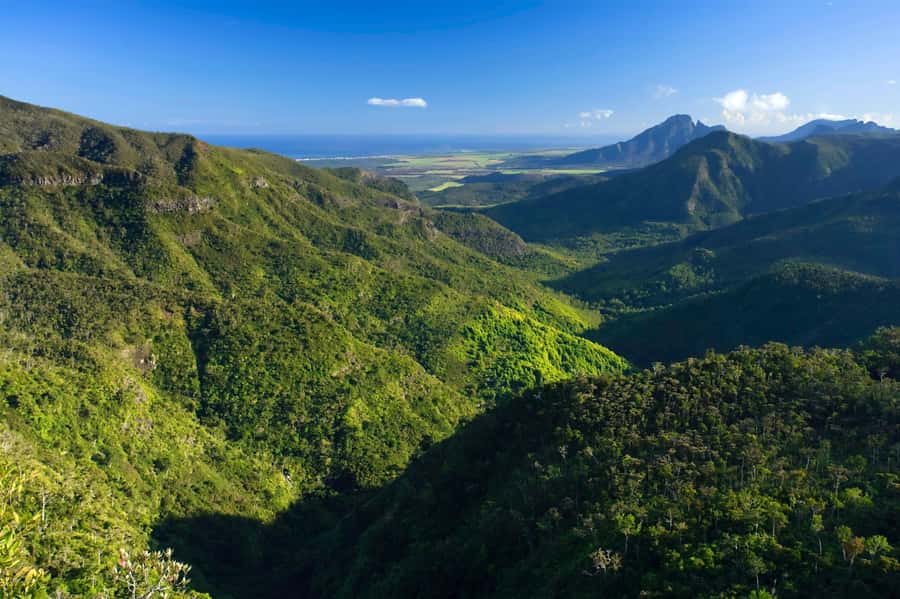 Animal & Nature Parks, Private Tour - Key Highlights You’ll Actually Feel During the Day