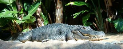 Animal & Nature Parks, Private Tour