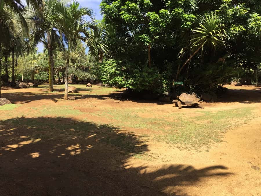 Animal & Nature Parks, Private Tour - Waterfalls: The Day’s Scenic Reset