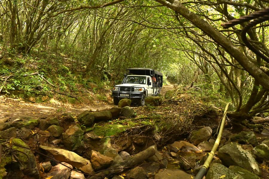Animal & Nature Parks, Private Tour - The Car Time and the “Why It Feels Personal”