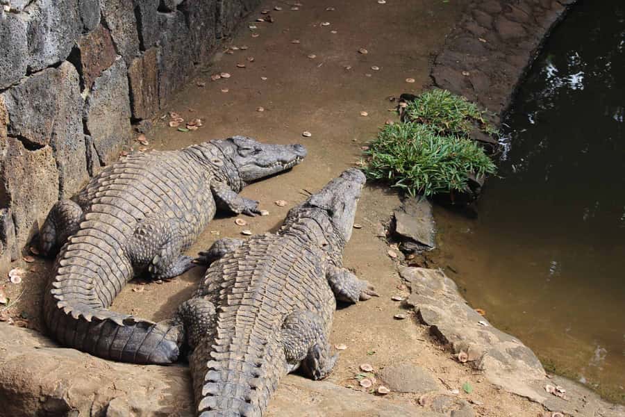 Animal & Nature Parks, Private Tour - Who Should Book This Tour (And Who Should Skip It)
