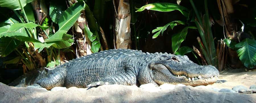 Animal & Nature Parks, Private Tour - How the South West and South Route Shapes Your Day