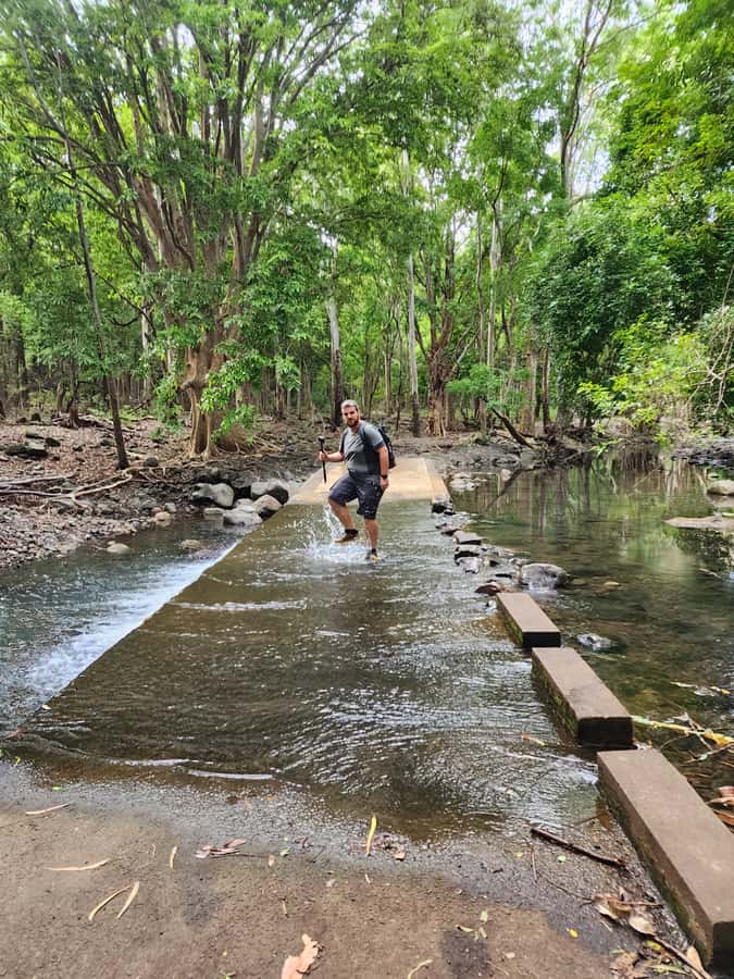 Black River: Guided Hike in the Black River Gorges Valley - Key highlights worth planning for