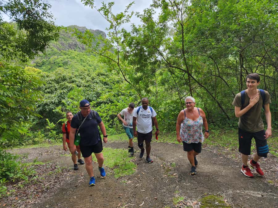 Black River: Guided Hike in the Black River Gorges Valley - Rivers, valleys, and mountain views you only notice when you move
