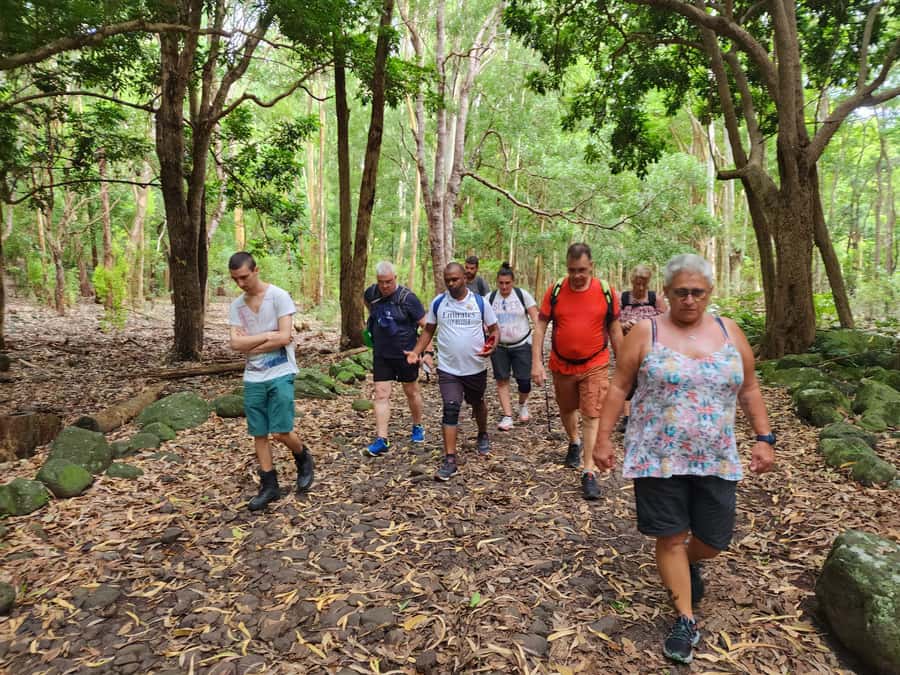 Black River: Guided Hike in the Black River Gorges Valley - What you should know about guides, language, and group energy