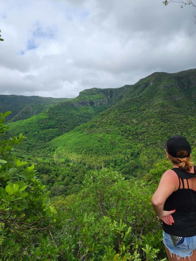 Black River: Guided Hike in the Black River Gorges Valley - The hike reality check: steep climbs, tree-and-rock scrambling, and a return route