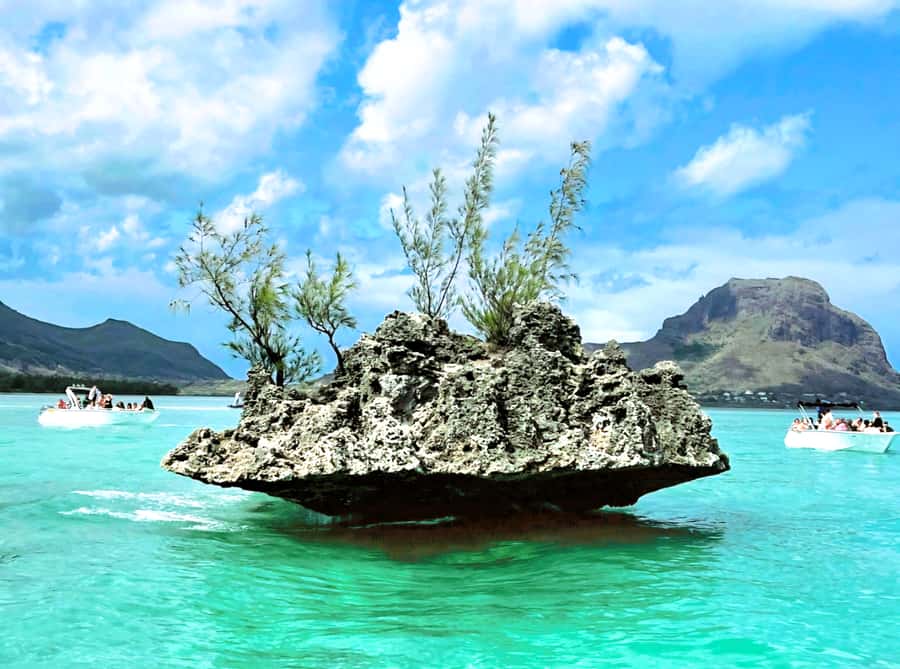 Black River: Swim with Dolphin Speed Boat Tour with lunch - Crystal Rock Snorkeling in the Le Morne Area
