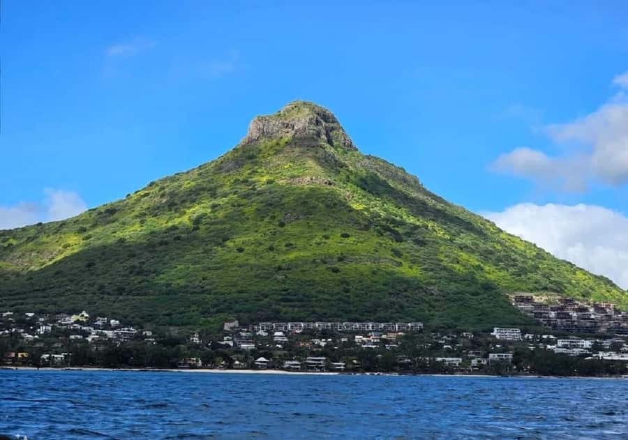 Black River: Swim with Dolphin Speed Boat Tour with lunch - Île aux Bénitiers: Island Time, Beach Minutes, and a Real Lunch