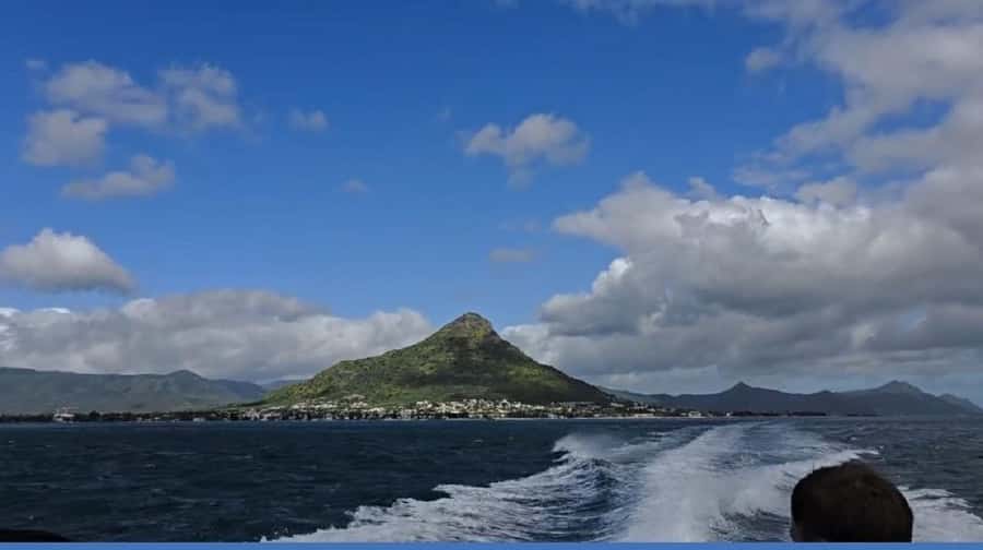 Black River: Swim with Dolphin Speed Boat Tour with lunch - Who This Tour Fits Best (And Who Should Skip It)
