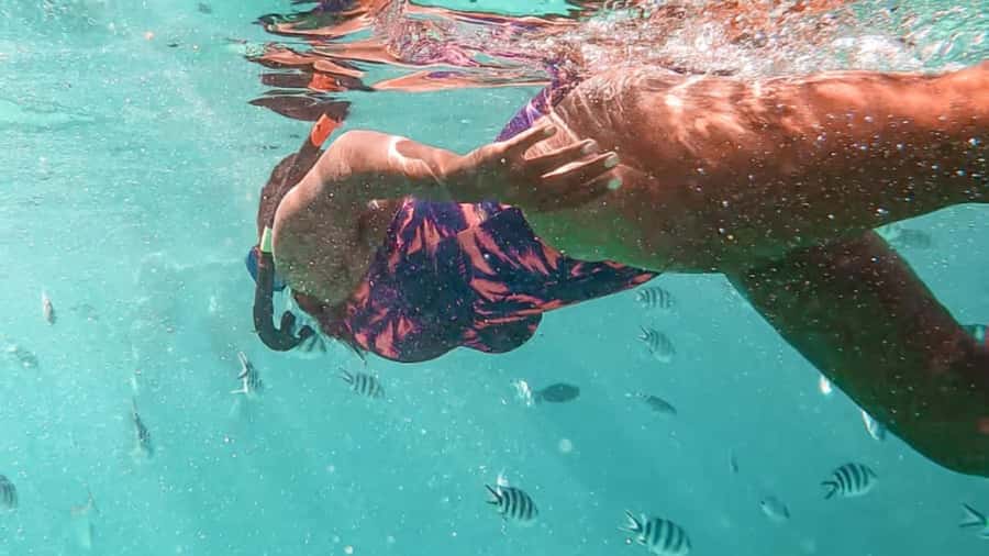 Blue Bay: Blue Bay Glass Bottom Boat Visit and Snorkeling - The 15-Minute Cruise: How the Ride Teaches You to Look