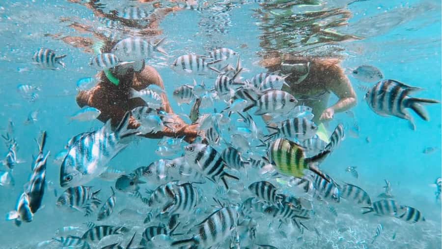 Blue Bay: Blue Bay Glass Bottom Boat Visit and Snorkeling - Blue Bay Beach or Blue Bay: Your Start Point and Why It Sets the Mood