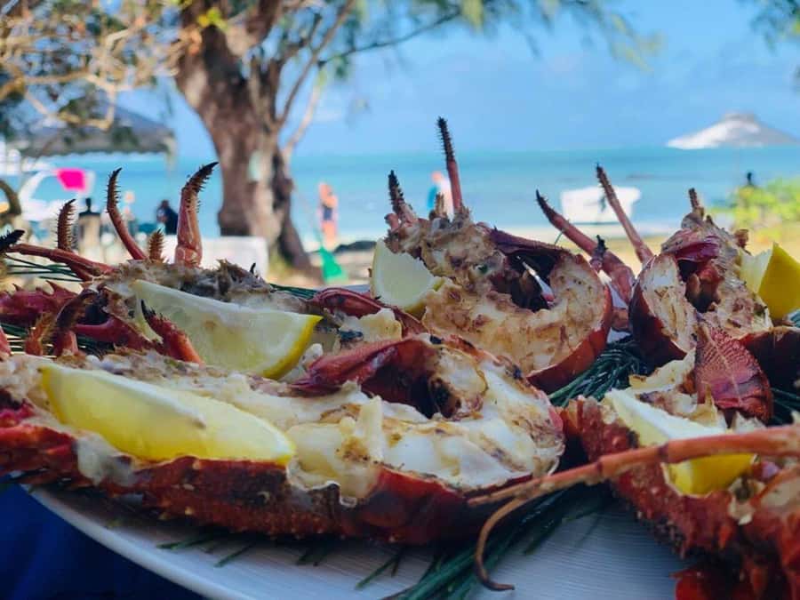 Blue bay: boat trip for ile au cerf (5 islands, barbecue) - Ile aux Aigrettes: Photos, a Cocktail Moment, and Swimming