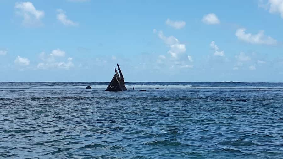 Blue Bay: Half-Day Snorkeling Trip with Creole Picnic Lunch - Cruising With a Glass-Bottom Boat: Coral Views Without the Effort