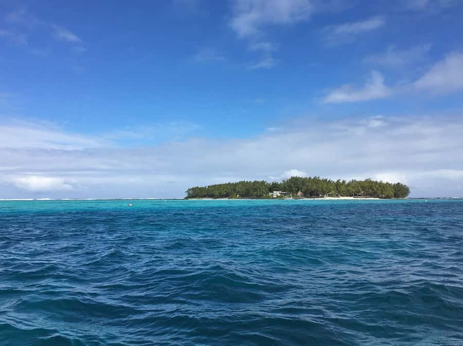 Blue Bay: Half-Day Snorkeling Trip with Creole Picnic Lunch - What to Bring for Your Snorkel Time (And What Helps Most)