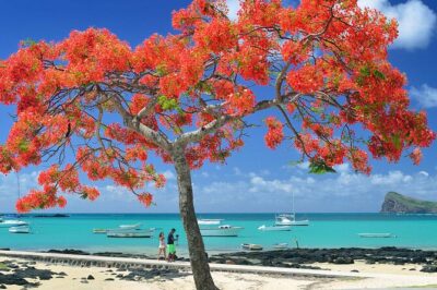 Car Hire for a Day with Driver – 8 Hours