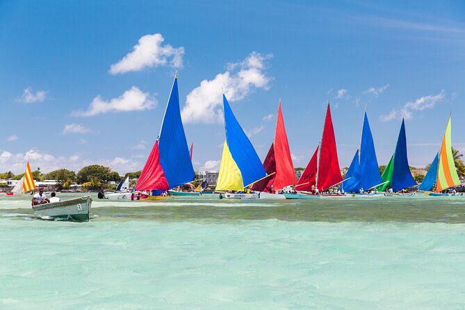 Car Hire for a Day with Driver - 8 Hours - Seeing Mauritius culture through a day of choices