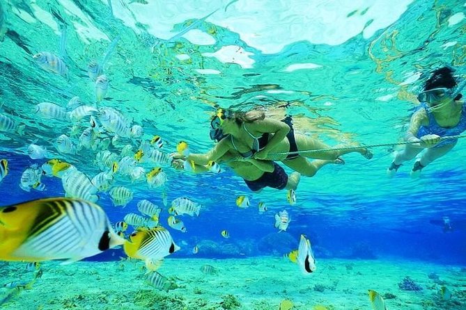 Catamaran Adventure Full Day: Ile aux cerfs,GRSE Waterfall,Snorkeling &BBQ Lunch - Price and value: is $127.76 worth it?
