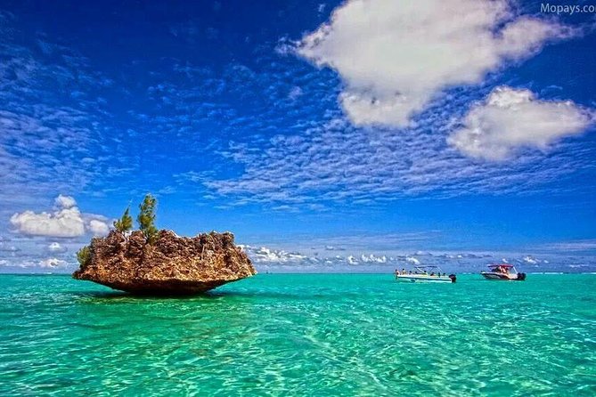 Catamaran Cruise to Ile Aux Bénitiers: Dolphin watch, Crystal Rock & Transfer - Tamarin Bay dolphin watch: your best odds, plus smart expectations