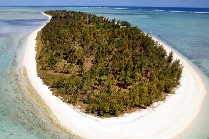 Catamaran Cruise to Ile Aux Bénitiers: Dolphin watch, Crystal Rock & Transfer - Ile aux Benitiers: BBQ lunch, beach time, and sega culture moments