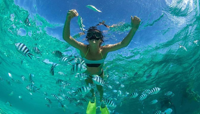 Catamaran Experience to Ile aux cerf: incl: Parasailing, Lunch, GRSE & Transfer - The catamaran cruise part, what you gain from sailing