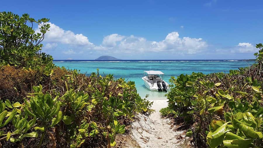Catamaran Mauritius Cruise in the North Coasts - Why This North Coasts Catamaran Route Works So Well