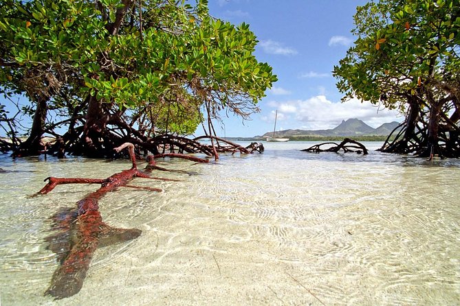 Catamaran to Ile aux Cerf with Parasailing, Tube Riding & Lunch - Price and value: what the $161.44 actually covers