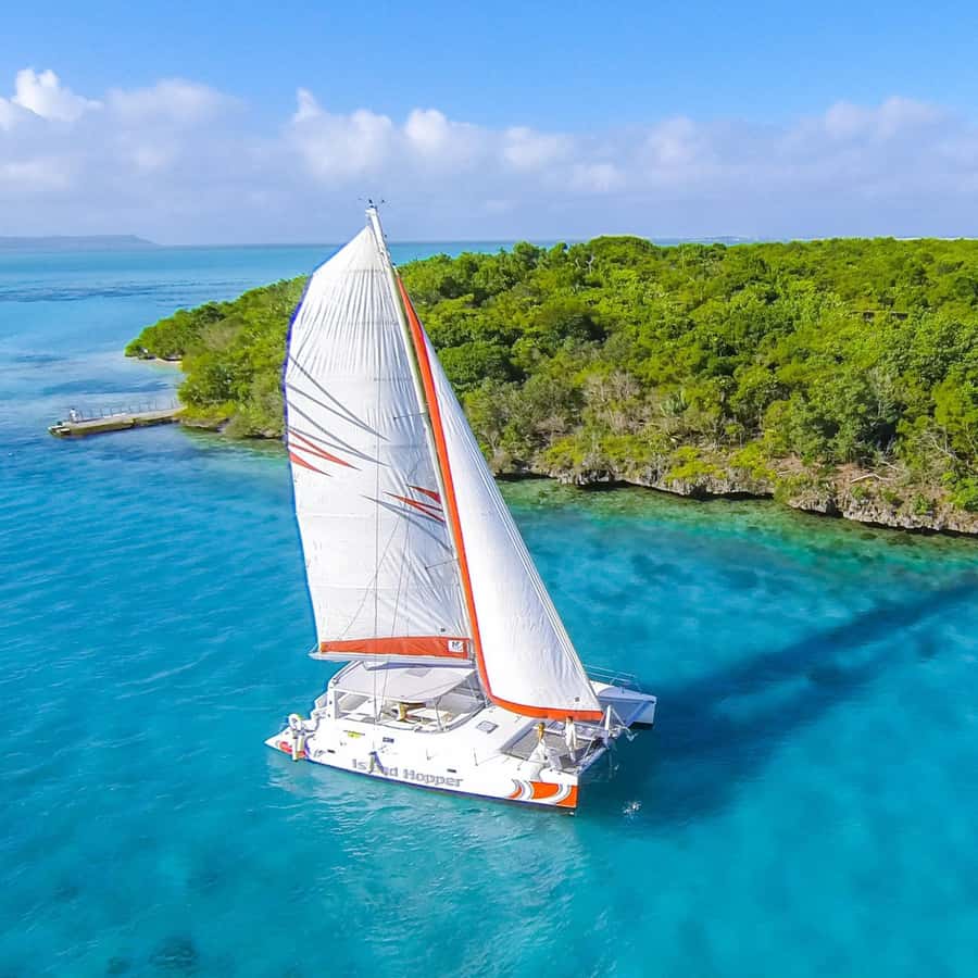 Catamaran trip to Ile Aux Cerfs With Two Way Transportation - Group size, comfort, and safety: how to decide if this fits your style