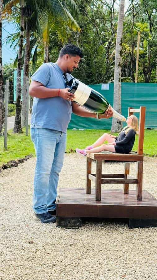 Chamarel: Curious Mauritius Entry Ticket - Key highlights to know before you go