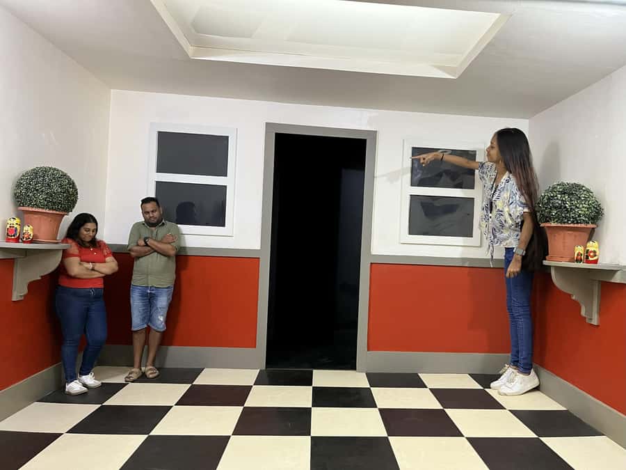 Chamarel: Curious Mauritius Entry Ticket - Curious Corner basics: what this ticket really covers