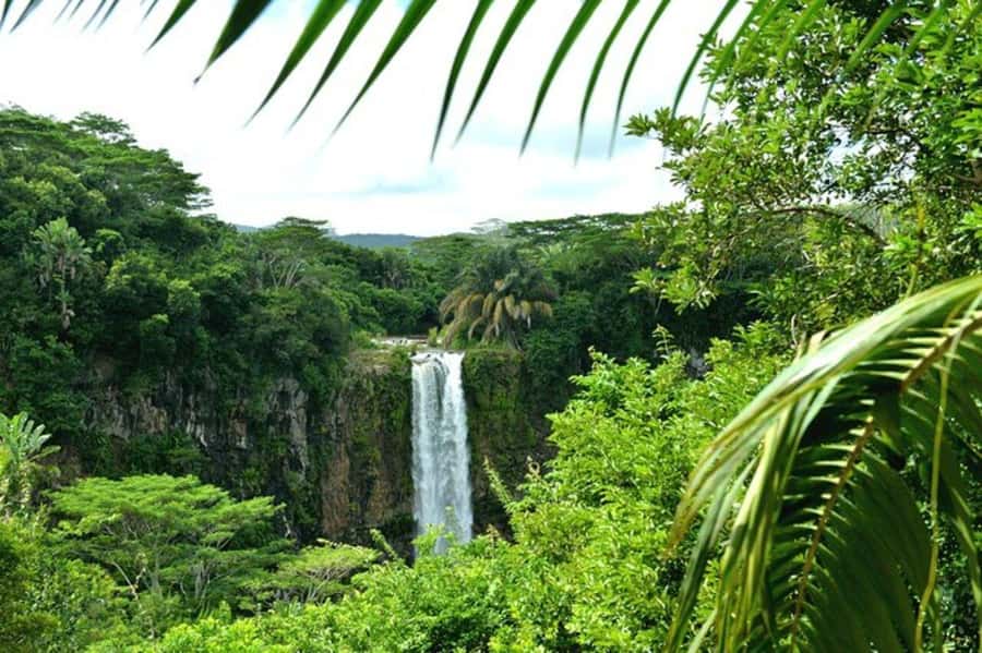 Chamarel: Southwest Mauritius Private Guided Day Tour - Key Stops and Why They Matter
