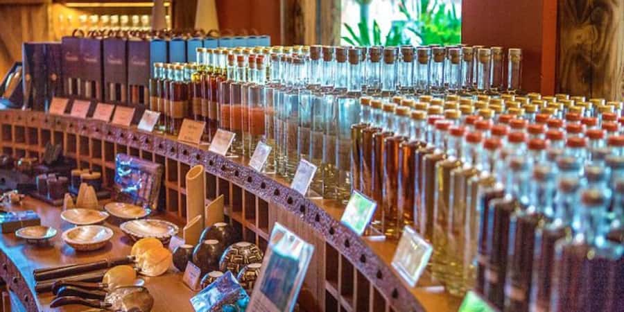 Chamarel: Southwest Mauritius Private Guided Day Tour - Price and What Feels Like Value at $175 Per Person