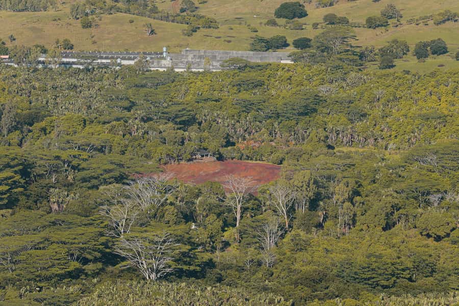 Chamarel: Sunset Mountain Hike - Key highlights to watch for