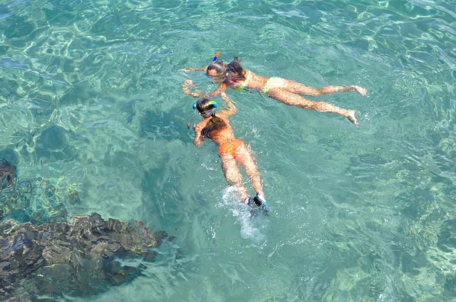 Coin de Mire 2-Hour Private Snorkeling Trip - Key Highlights Worth Planning Around