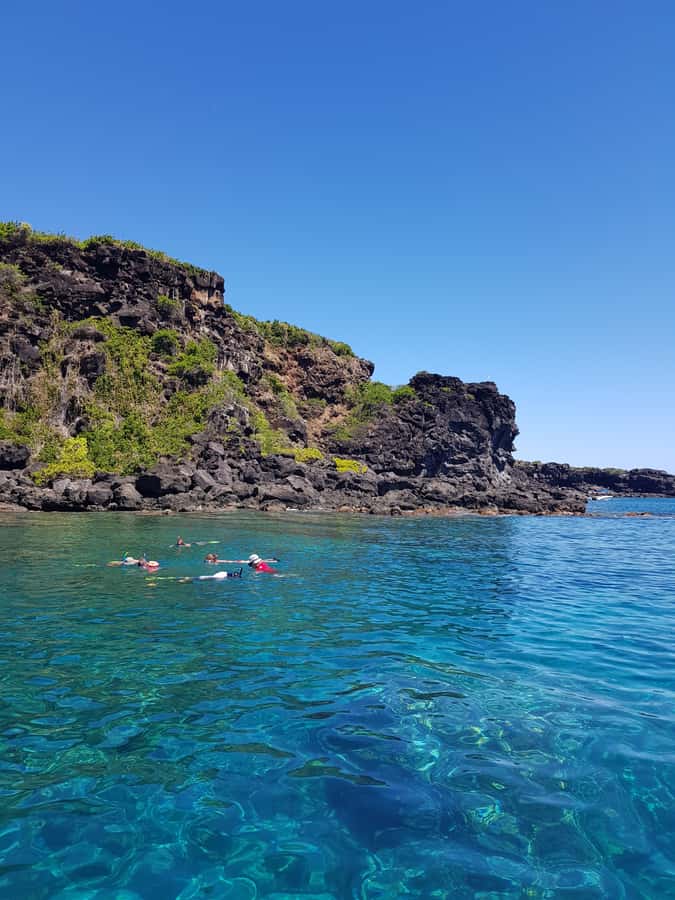 Coin de Mire 2-Hour Private Snorkeling Trip - Who This Private Snorkeling Trip Suits Best