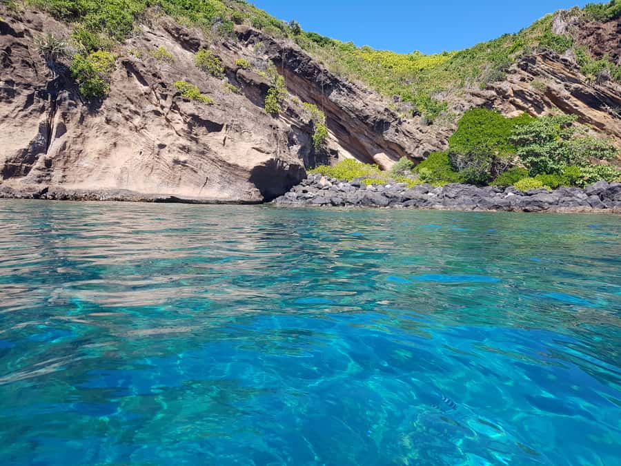 Coin de Mire 2-Hour Private Snorkeling Trip - Should You Book This Coin de Mire 2-Hour Private Snorkeling Trip?