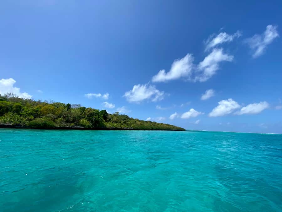 Day Trip at Ile aux Cerfs and other Gems of the South. - Key things to know before you go