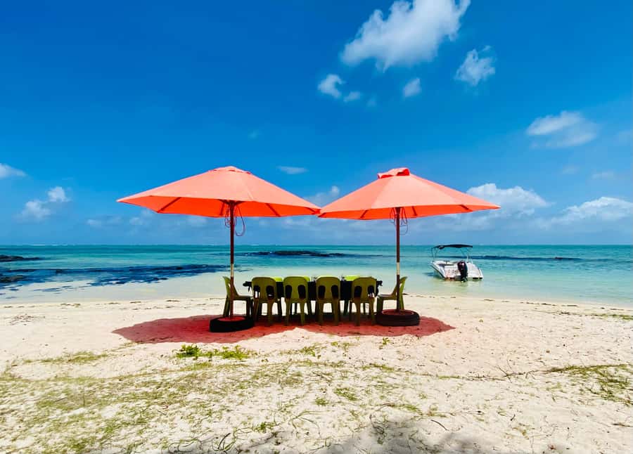 Day Trip at Ile aux Cerfs and other Gems of the South. - What to bring (and what to plan around)