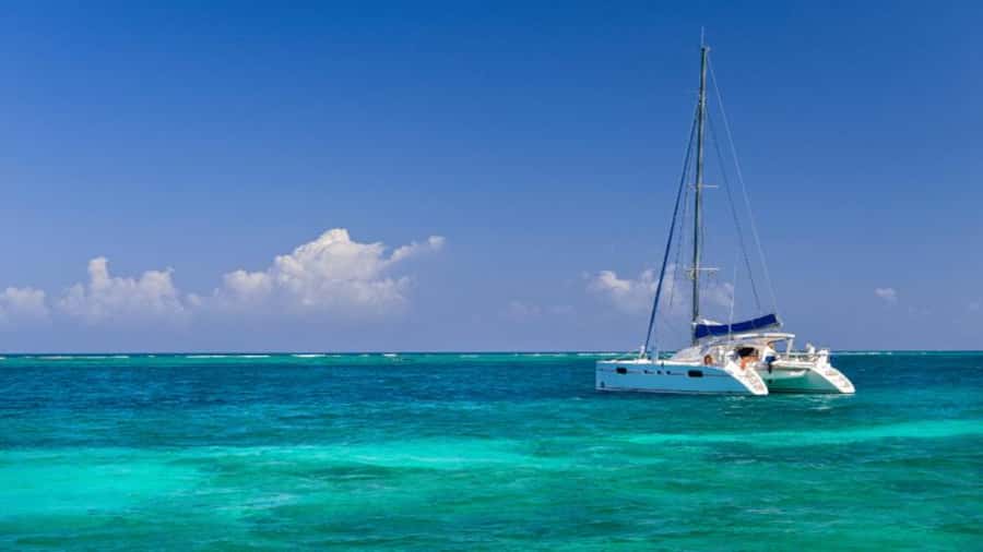 Discover Mauritius: Dolphin Watch, Snorkeling, BBQ Lunch - Quick Take: What Makes This Trip Work