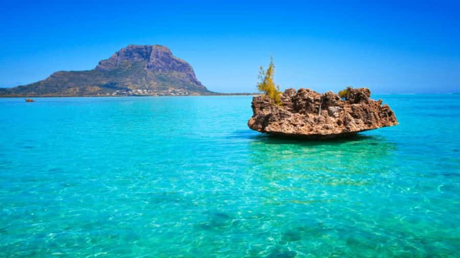 Discover Mauritius: Dolphin Watch, Snorkeling, BBQ Lunch - On Board: Catamaran Comfort, Crew, and How the Day Moves