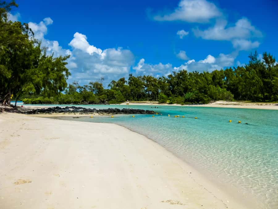 Discover Mauritius Full Day with Your Personal Driver-Guide - Port Louis: city time with a photo stop and guided context