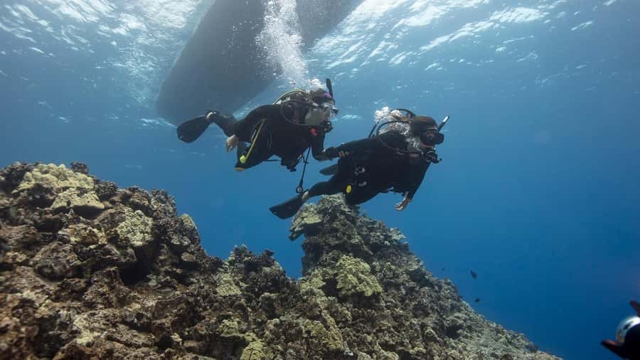 DISCOVER SCUBA DIVING IN LEMORNE with EasydiveMauritius - Key Things That Make This Scuba Try-Out Worth Your Time